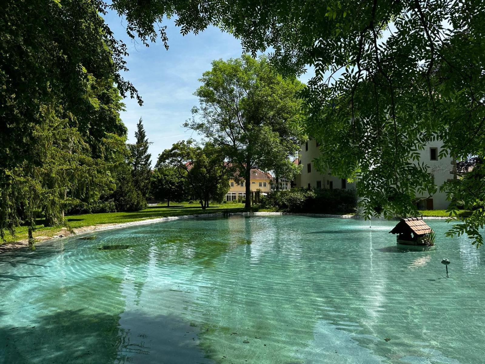 Schloss Neckarbischofsheim Bagian luar foto