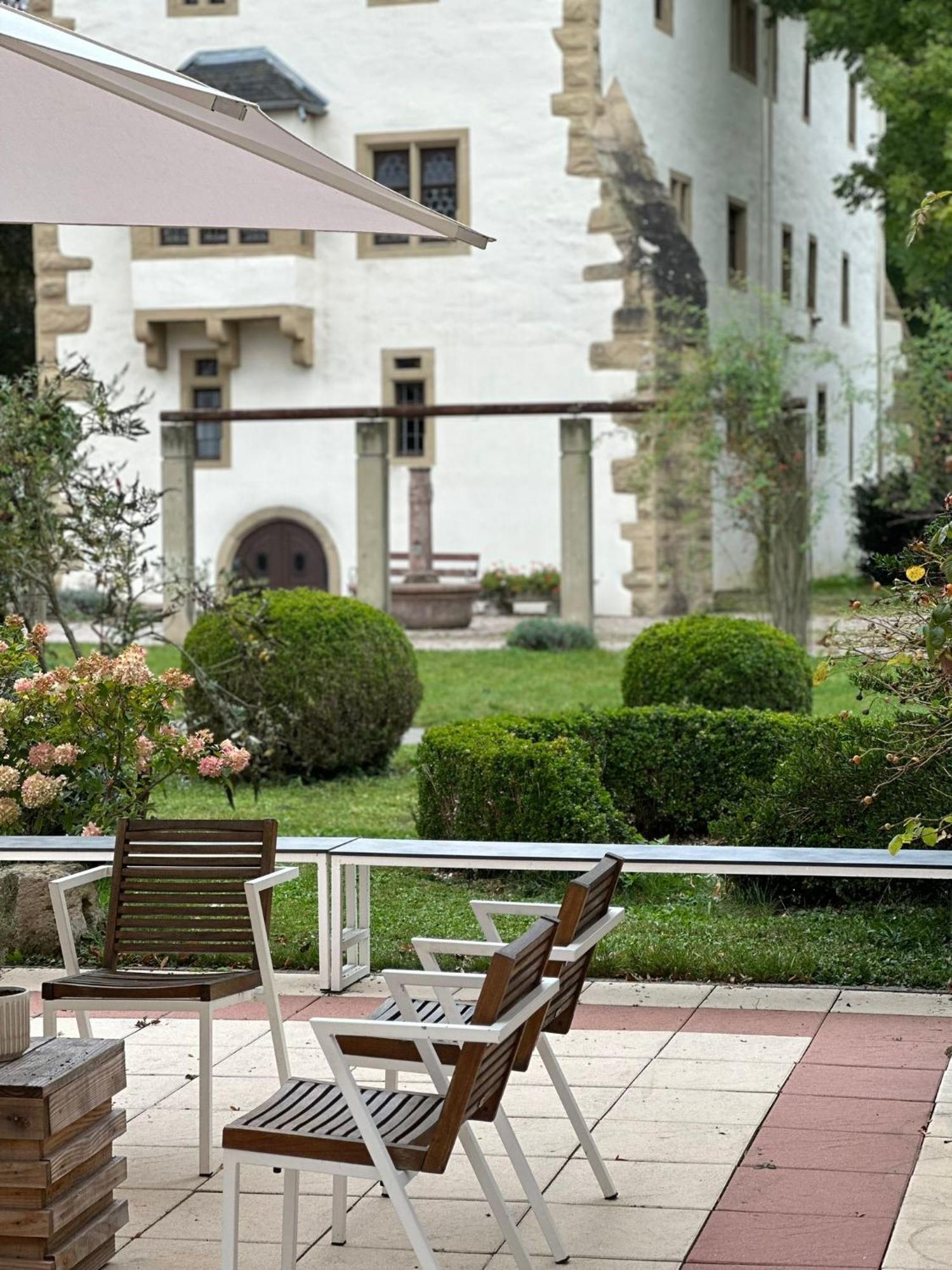 Schloss Neckarbischofsheim Bagian luar foto