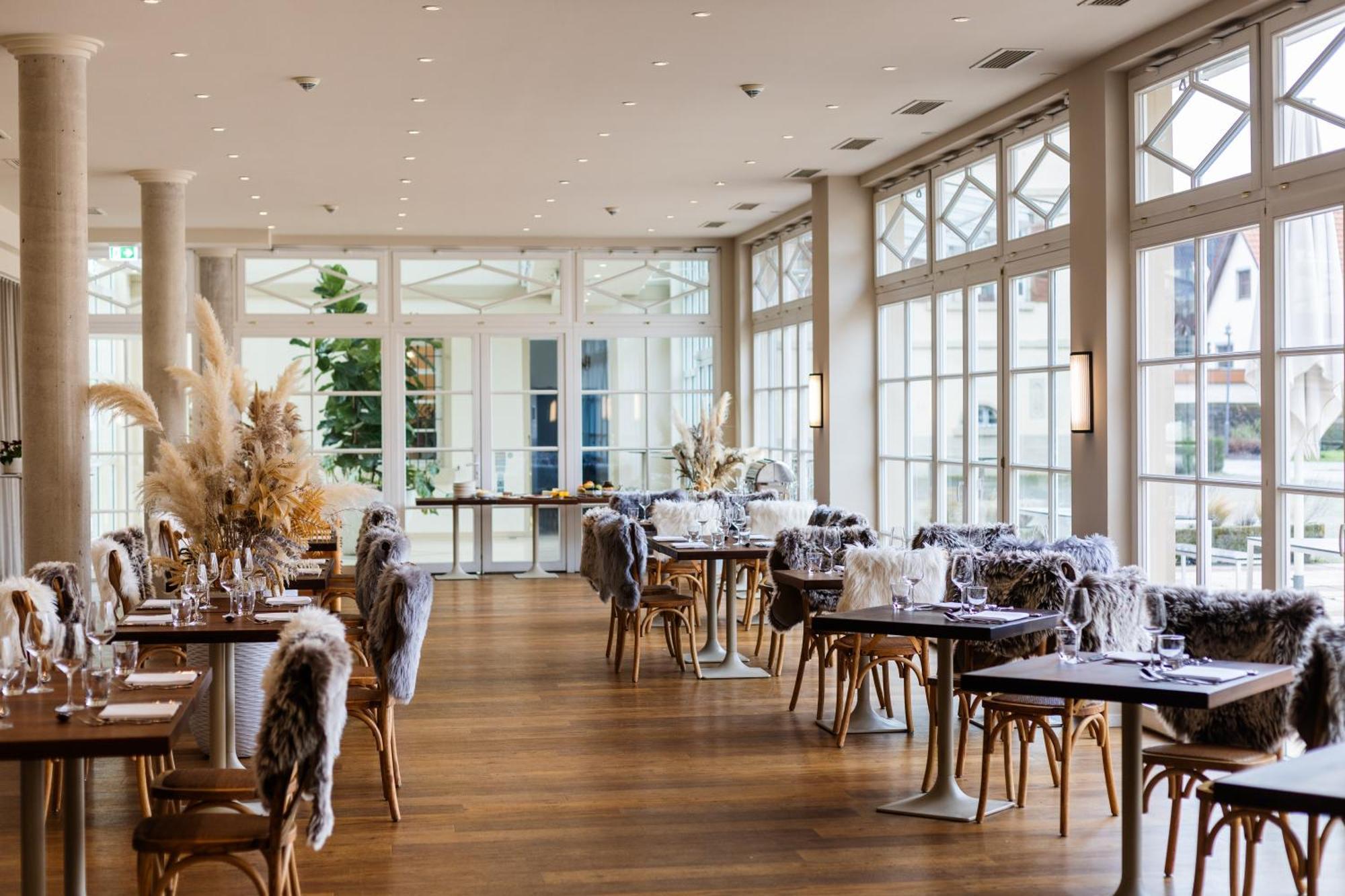 Schloss Neckarbischofsheim Bagian luar foto